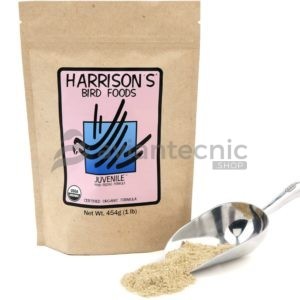 Papilla Pollos Harrison