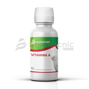 Botella de Vitamina A Líquida Avianvet con goteador, suplemento esencial para canarios blanco recesivo, periquitos y pájaros lutinos.