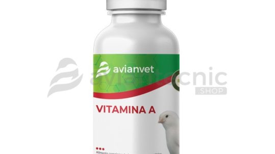 Botella de Vitamina A Líquida Avianvet con goteador, suplemento esencial para canarios blanco recesivo, periquitos y pájaros lutinos.