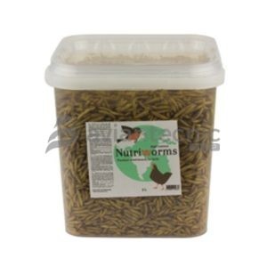 Nutriworm