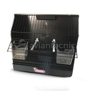 Jaula Portuguesa negra