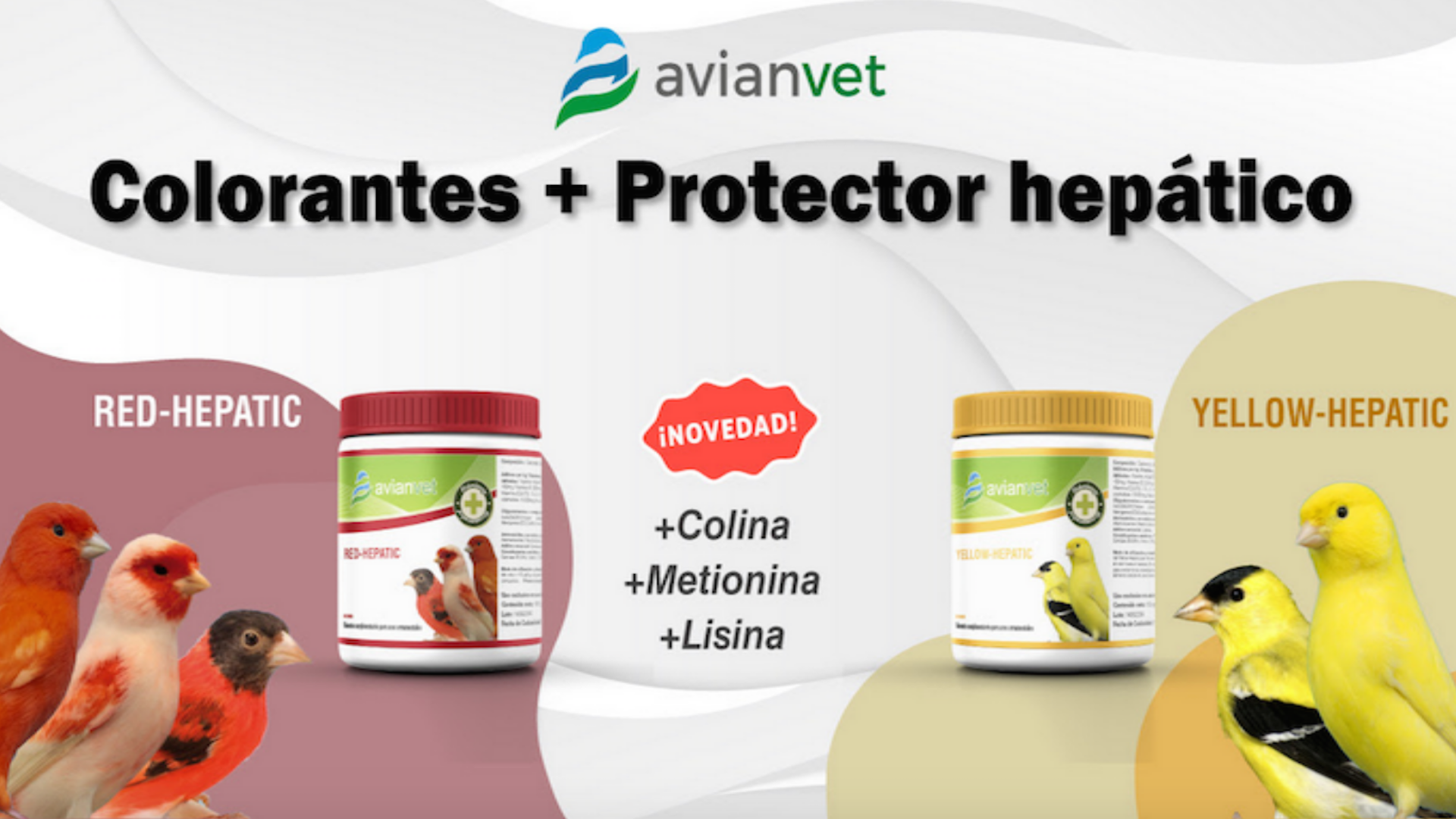 colorantes canarios