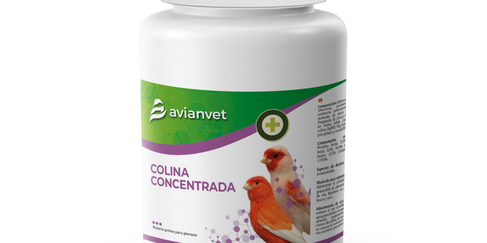 Protector hepático y potenciador del metabolismo graso para pájaros: Colina Concentrada Avianvet.