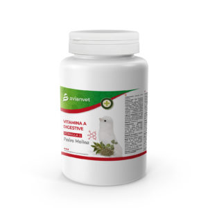 vitamina a digestive