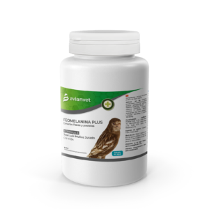 Feomelanina Plus Avianvet fórmula José Luis Muñoz, suplemento premium para potenciar feomelanina en canarios faeos y brunos pasteles.
