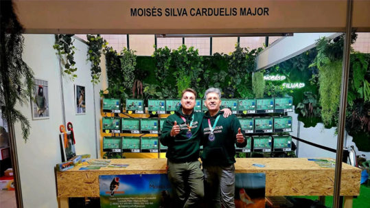 Moisés Silva, criador campeón de jilgueros mayor (Carduelis Major) y embajador de Avianvet.