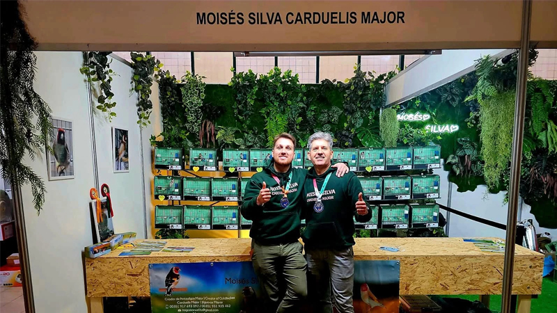 Moisés Silva, criador campeón de jilgueros mayor (Carduelis Major) y embajador de Avianvet.