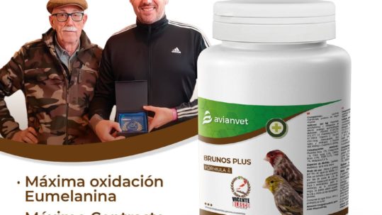 Vicente Blasco, criador y juez OMJ, colaborador en la fórmula Brunos Plus para potenciar la melanina en canarios brunos.