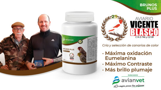 Vicente Blasco, criador y juez OMJ, colaborador en la fórmula Brunos Plus para potenciar la melanina en canarios brunos.