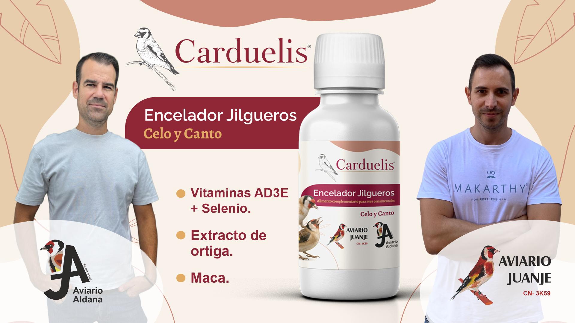 Encelador Carduelis para jilgueros Carduelis y Spinus: suplemento para potenciar el canto natural y estimular el celo en machos y hembras.
