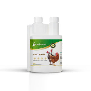 CalciPuesta Avianvet, suplemento de calcio líquido con vitamina D3 para fortalecer la cáscara del huevo en gallinas ponedoras.