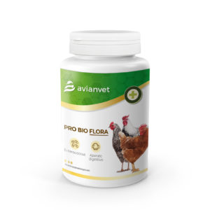 Suplemento Pro Bio Flora Avianvet para el equilibrio de la flora intestinal y bienestar de aves de corral y gallinas.