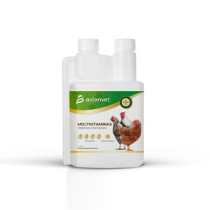 Complejo multivitaminico Avianvet para mejorar la vitalidad y el crecimiento en gallinas de corral