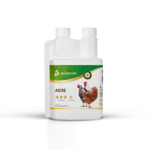 Vitaminas AD3E Avianvet para mejorar la puesta y reproducción en gallinas y aves de corral.