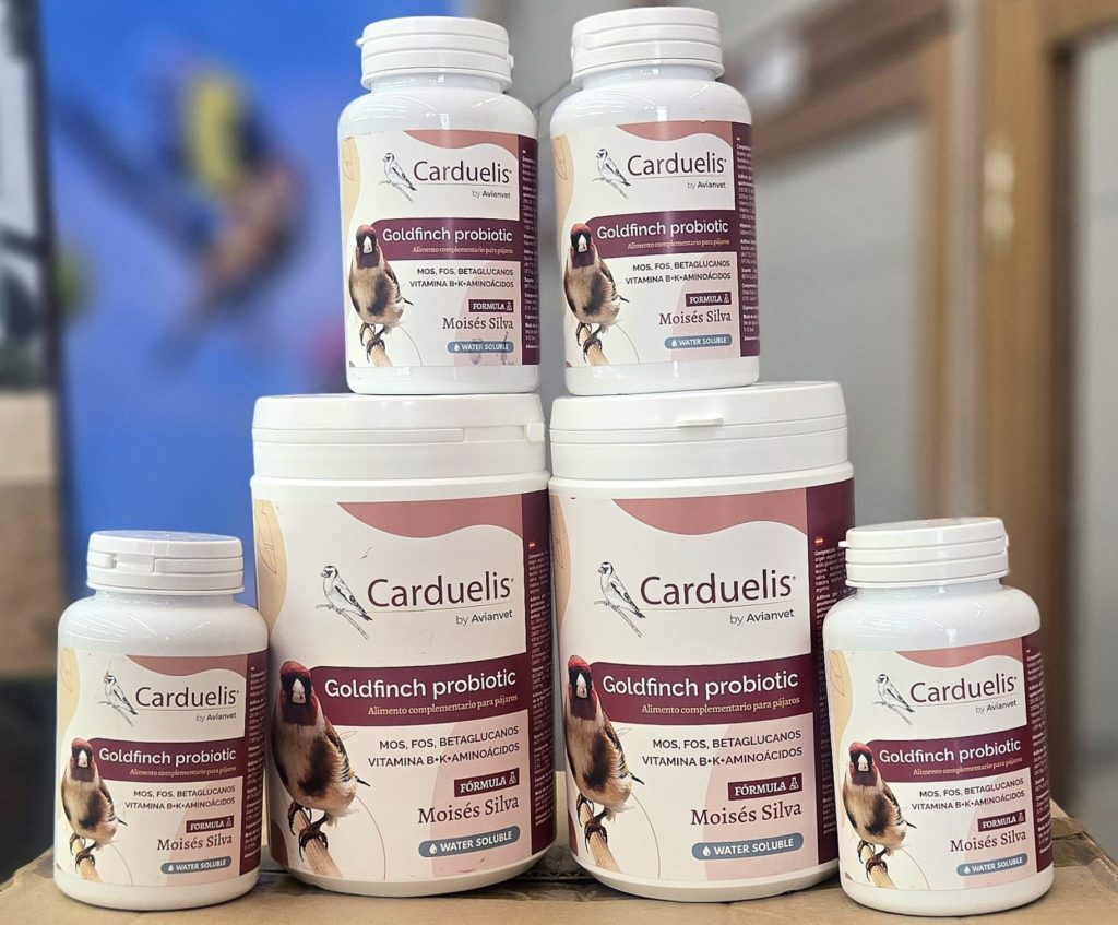 Composición de Goldfinch Probiotic con bacterias beneficiosas Lactobacillus, prebióticos MOS, FOS y aminoácidos para el plumaje.