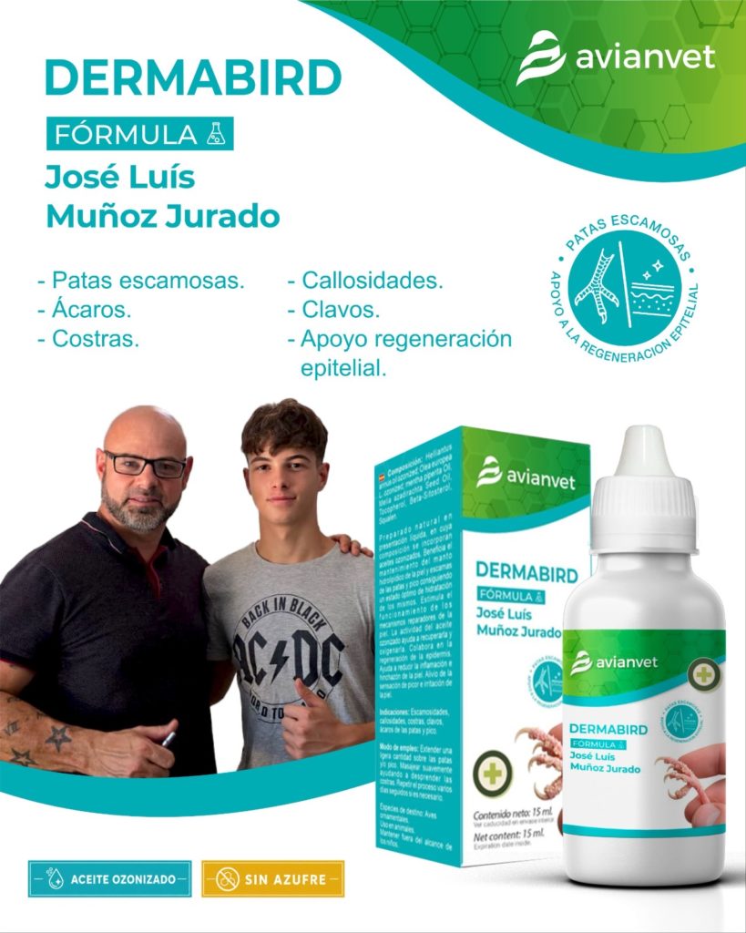 El criador experto José Luis Muñoz en su aviario seleccionando canarios de color feomelánicos.