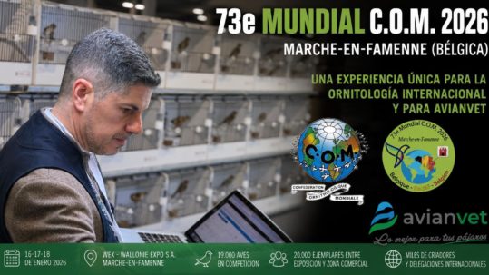 Exposición del Mundial de Ornitología C.O.M. 2026 en Bélgica, una experiencia internacional única para Avianvet.