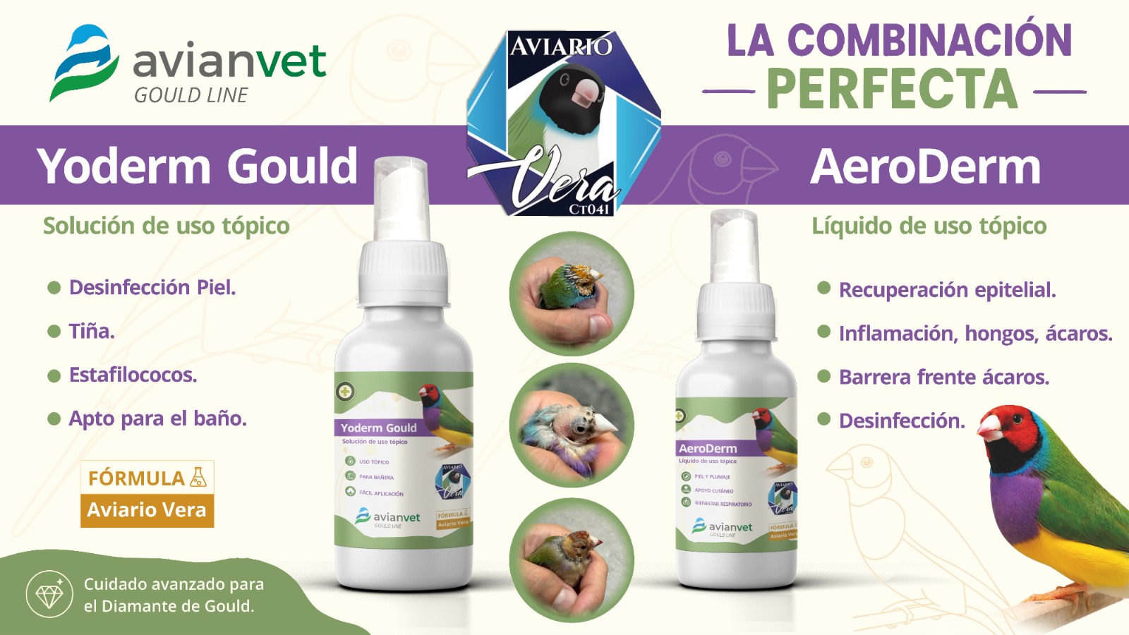 AeroDerm y Yoderm Gould de Avianvet Gould Line para el cuidado, higiene y protección de la piel, calidad del plumaje, limpieza de heridas, tiñas y bienestar respiratorio del Diamante de Gould.