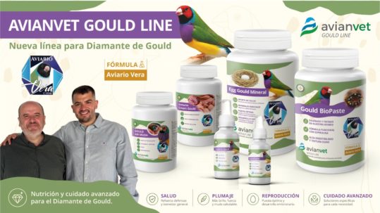 Avianvet Gould Line, la nueva línea especializada para Diamantes de Gould creada junto a Aviario Vera de Iván y Diego Vera.