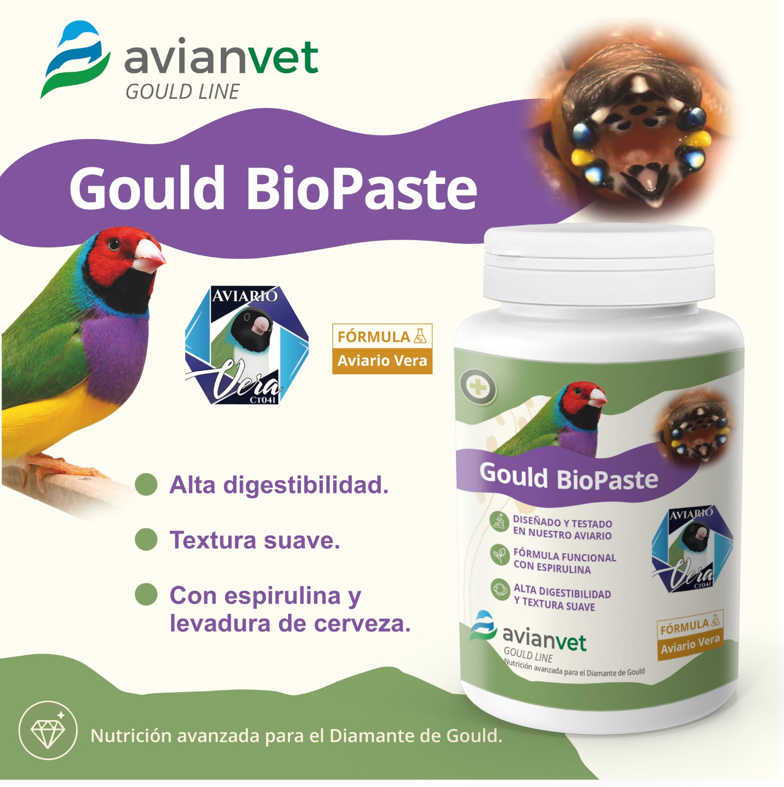 Gould Biopaste de Avianvet Gould Line, biopasta cocida con espirulina para la cría y crecimiento de polluelos de Diamante de Gould.