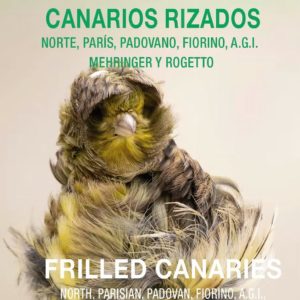 Manual para la cría y selección de canarios rizados de forma