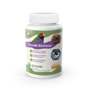 Pasta proteica Gould Biopaste Avianvet para la cría, desarrollo y recuperación de Diamantes de Gould y Erythruras.